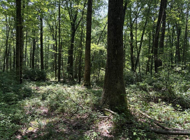 Greenwood Road, Curwensville, PA 16833