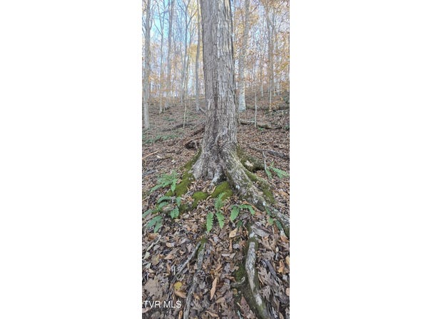 2351 Line Road, Eidson, TN 37731