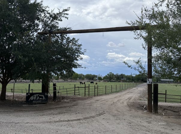E Alma Ln (4 Acre), Pima, AZ 85543