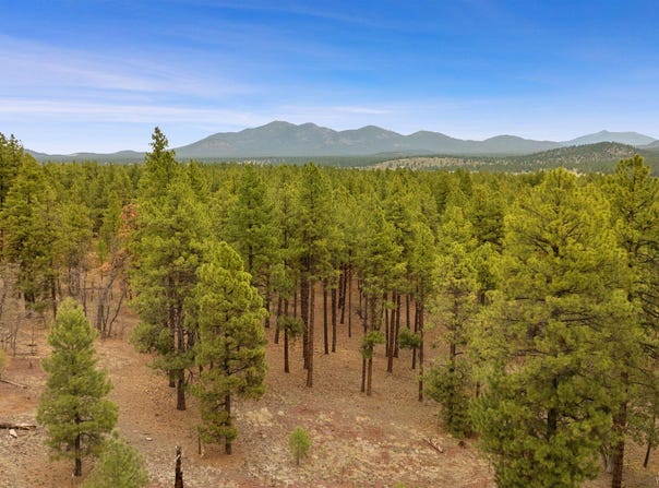 7804 E Long Bow Drive, Williams, AZ 86046