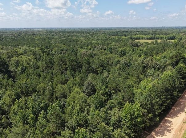 Tract 1 CR 4320, DeKalb, TX 75559