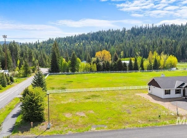 1119 Swanie Way, McCall, ID 83638