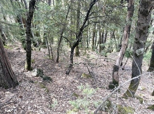 Upper River Ave. lot: 6 Blk, Dunsmuir, CA 96025