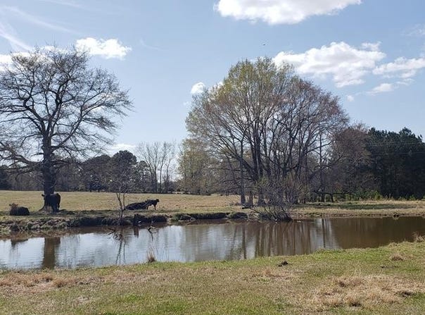 716 Augusta Road, Edgefield, SC 29824