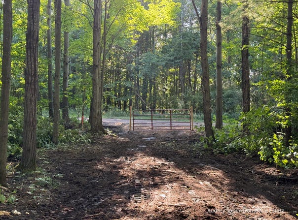 Par 2 Clements Road, Kaleva, MI 49645
