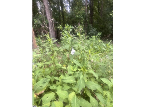 S Arrowhead Drive, Westminster, SC 29693