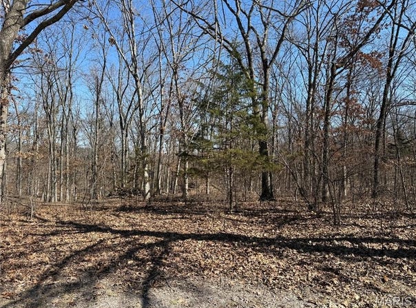Monroe Road 577, Stoutsville, MO 65283