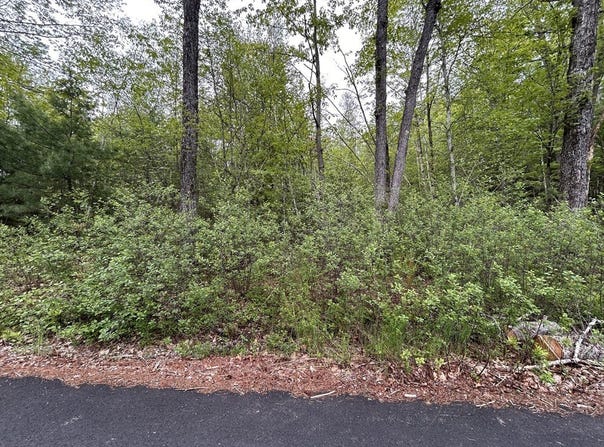 0 Lot 2 Stoddard Rd, Winchendon, MA 01475