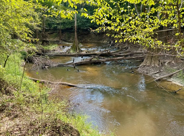 ## Cedar Creek Estate Road, Lucedale, MS 39452