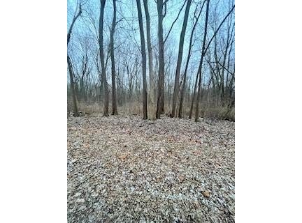 Linden Drive, St. Joseph, MI 49085