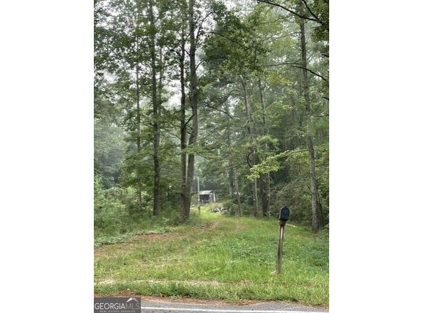 Young, Franklin, GA 30217