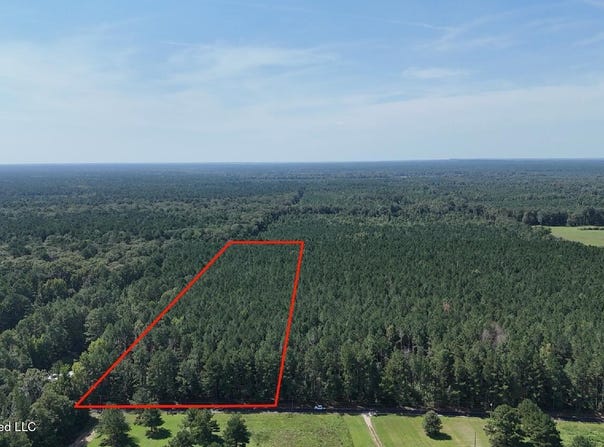 Davis Road, Morton, MS 39117