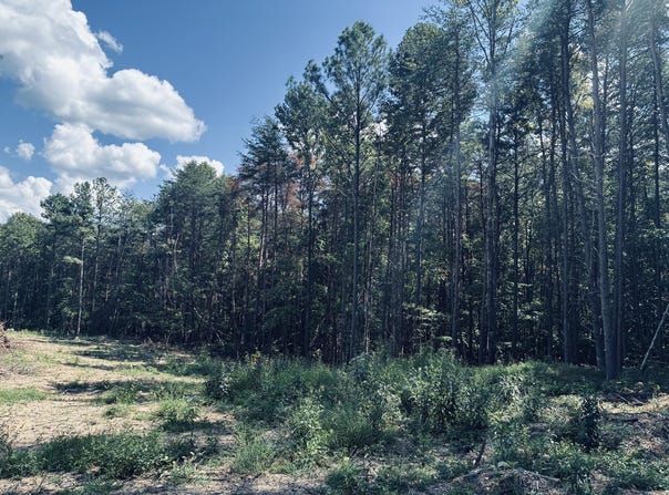 360 Bootleg Bend lot: 2182, Guild, TN 37340