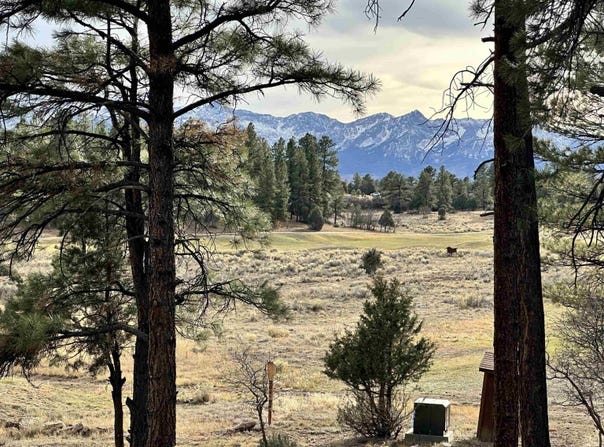 46 Marmot Drive, Ridgway, CO 81432