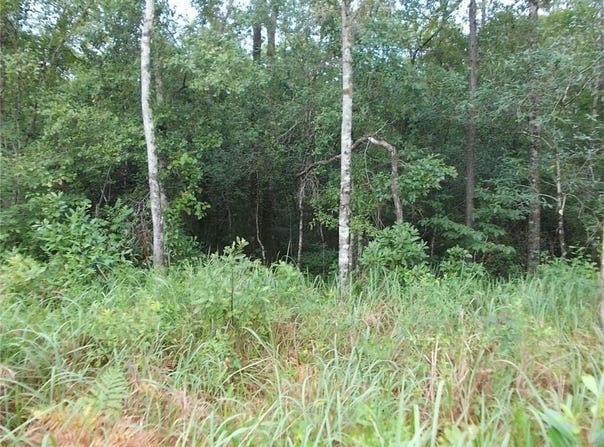 Boothtown Road, Citronelle, AL 36522