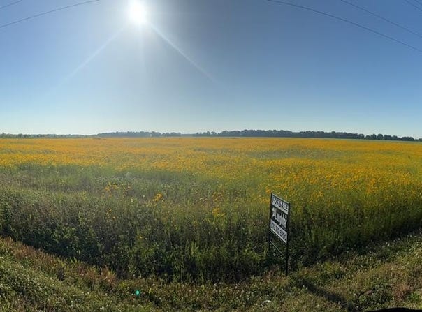 406 S MCNEELY ROAD, Marion, AR 72364