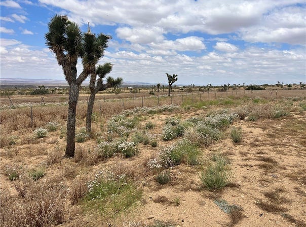 Vac/Vic Bobs Gap Rd/175 Ste, Llano, CA 93544