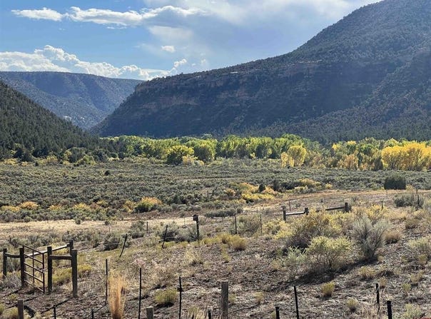 Road 41, Mancos, CO 81328