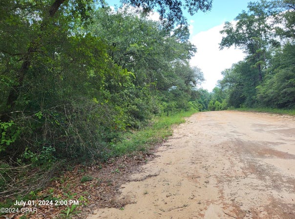 Persimmons Lane, Marianna, FL 32448