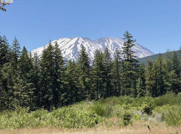 Lahar Ln, Cougar, WA 98616