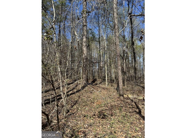 Poplar Mountain Lane, Carnesville, GA 30521