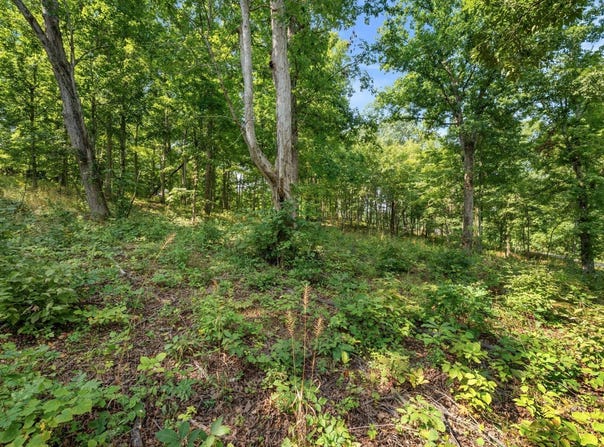 Oak Ridge Drive, Gallipolis, OH 45631