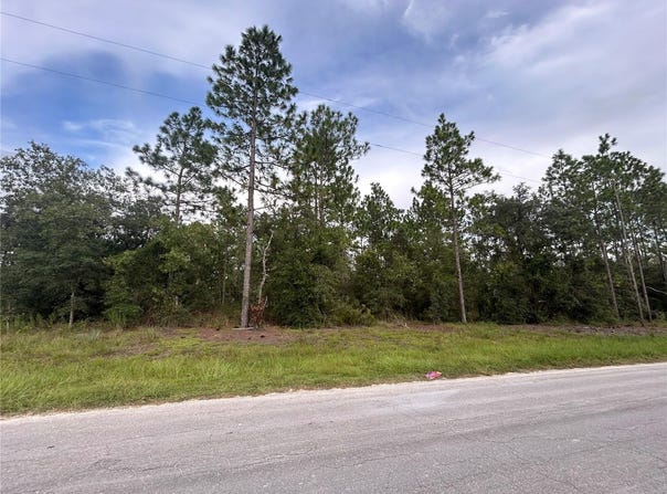 NE 150TH Avenue, WILLISTON, FL 32696