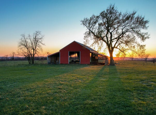 14375 Tyree Mountain Rd, Prairie Grove, AR 72753