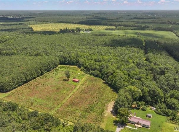 Hwy 258, Rich Square, NC 27869