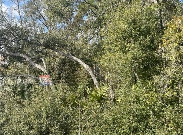 Malauka Cir, Ocklawaha, FL 32179