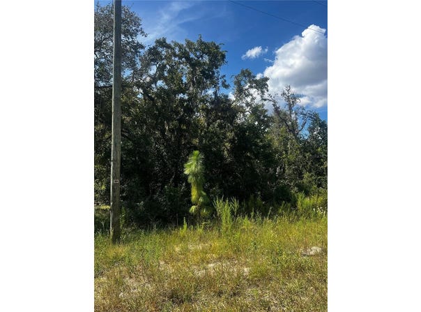 CRIDER Road, WEEKI WACHEE, FL 34614