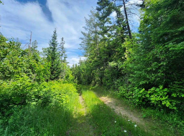 18xxx E Eagle Ridge Ln, Mead, WA 99021