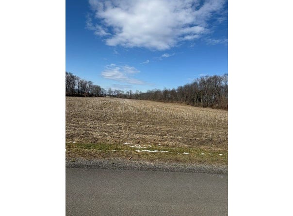 22 Brooks St, Lot A, Spencer, NY 14883