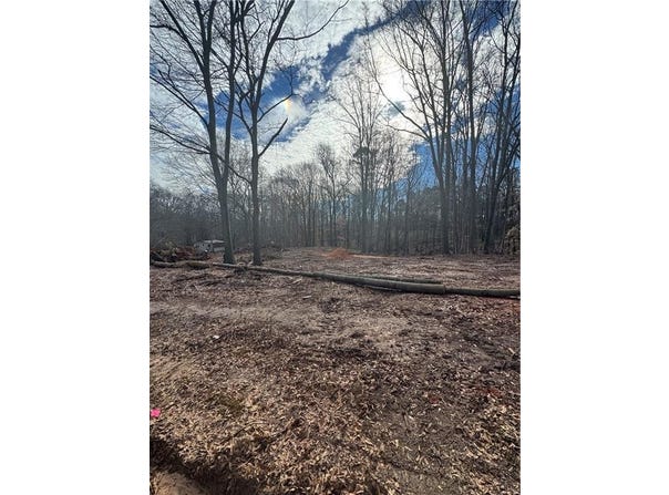 260 Roosevelt Circle, Bowman, GA 30624