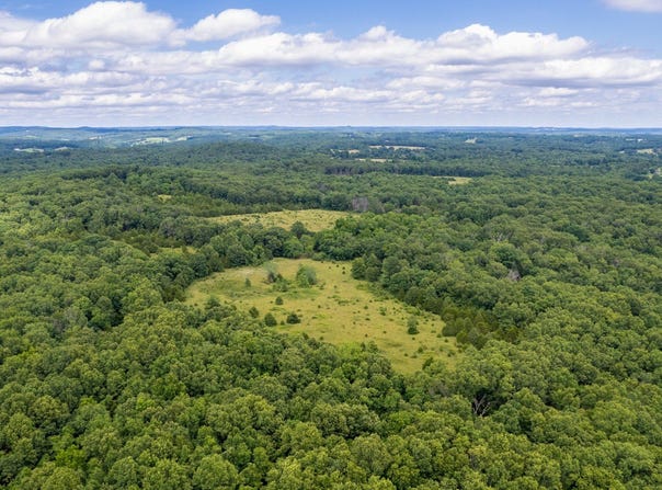 Co Rd 539, Ava, MO 65629
