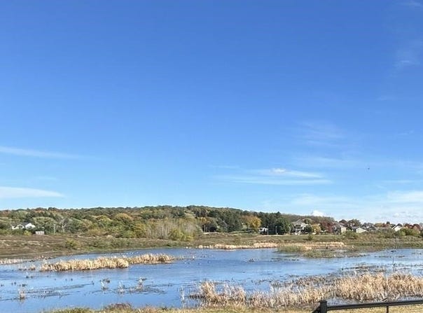605 Morning Cove Circle, Verona, WI 53593-0000