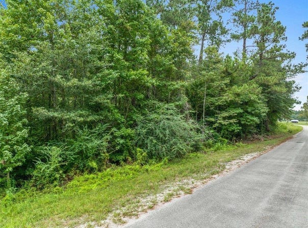 195 Ashworth Rd Road, Singer, LA 70660