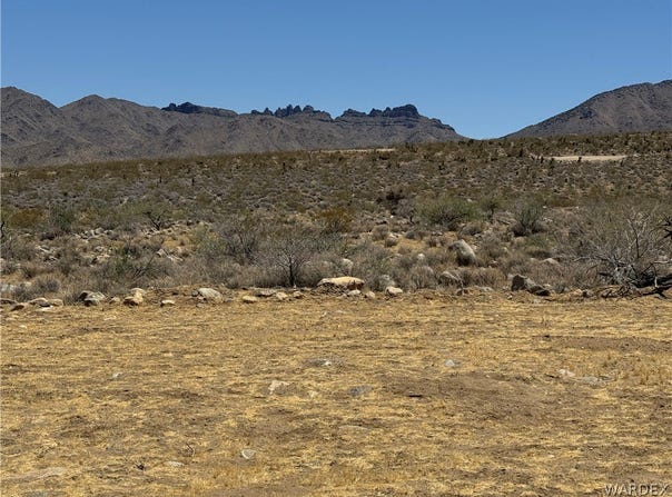 316-05-018 June, Dolan Springs, AZ 86441
