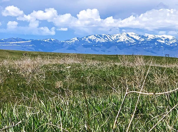 Heinrich Rd, Midvale, ID 83645