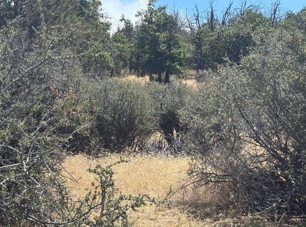 Pigeon St, Hornbrook, CA 96044