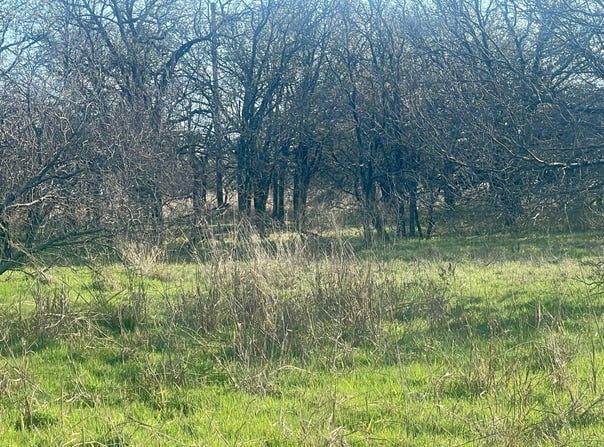01 Denver Road, Sunset, TX 76270