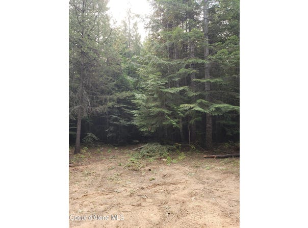 80 E Ridge Dr (Tract 8), St. Maries, ID 83861