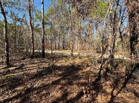 1869 Cedar Creek Circle, Coden, AL 36523