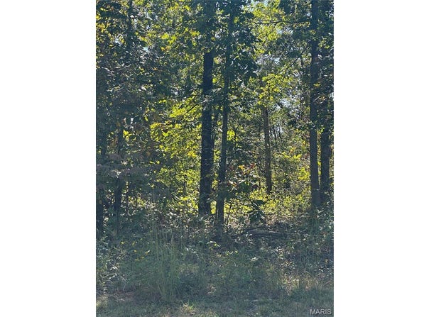 Tbd 142E-24B, Doniphan, MO 63935