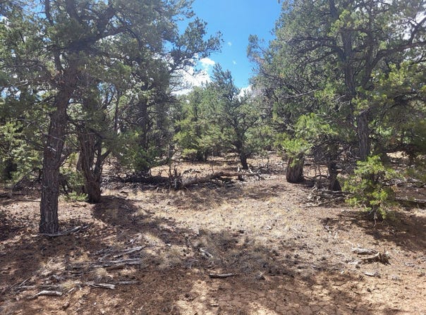 Duchesne, UT 84021