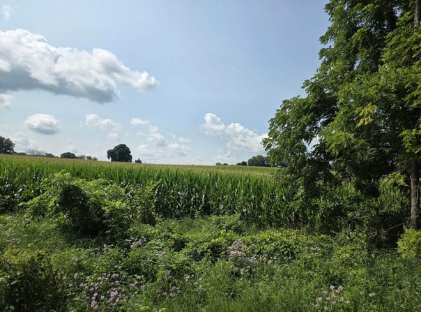 13 Mile Rd (parcel 3), Burlington, MI 49029
