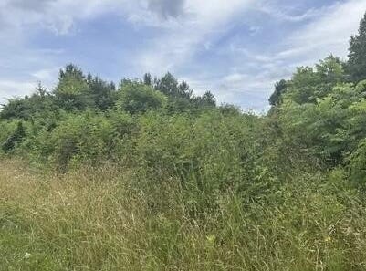 SADDLERIDGE Drive, Speedwell, TN 37870