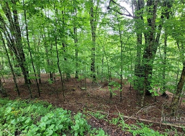 130 E Blueberry Lane, Beech Mountain, NC 28604