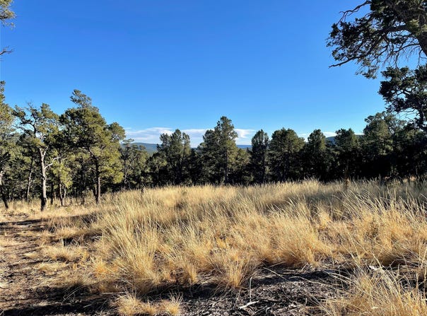 Warbler Way, Pecos, NM 87552