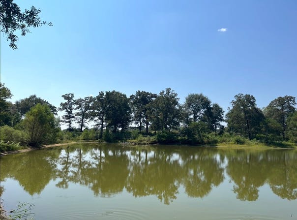 Raborn Rd, Magnolia, MS 39652